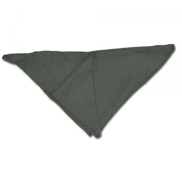 Fazzoletto triangolare BW verde oliva usato