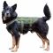 Gilet tattico per cane marchio Primal Gear verde oliva
