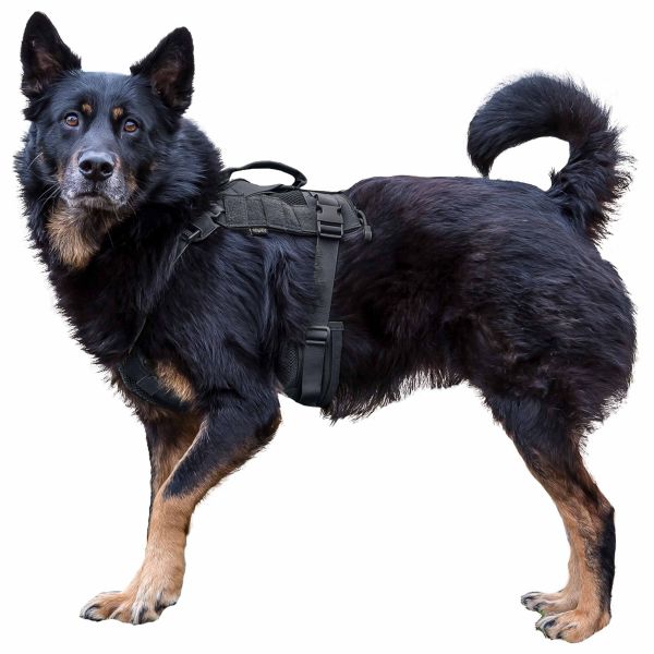 Gilet tattico per cane Primal Gear Harness colore nero