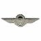 Badge BW metallo paracadutista tonalità argento
