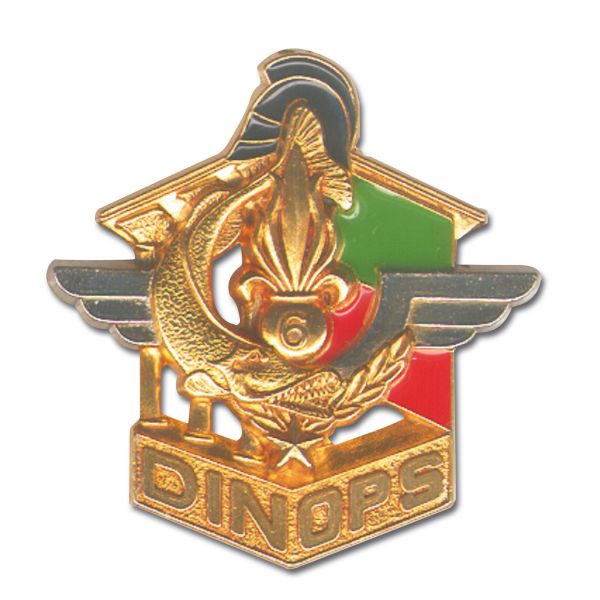 french metall insignia legion 6. REG DINOPS