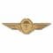 Distintivo BW in metallo da paracadutista color oro