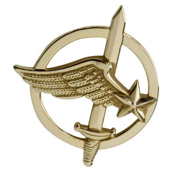 Distintivo in metallo Commando Aviazione da berretto TOE Concept