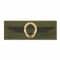 Distintivo in tessuto BW paracadutista bronzo/verde oliva